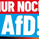 1. Landrat der AfD